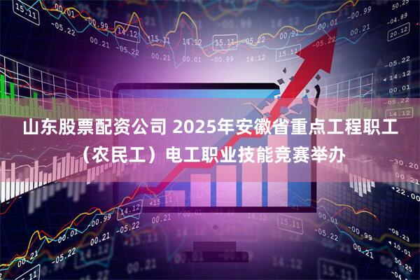 山东股票配资公司 2025年安徽省重点工程职工（农民工）电工职业技能竞赛举办