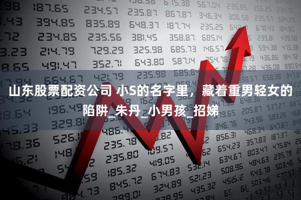 山东股票配资公司 小S的名字里，藏着重男轻女的陷阱_朱丹_小男孩_招娣