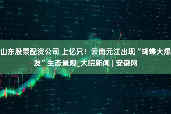 山东股票配资公司 上亿只！云南元江出现“蝴蝶大爆发”生态景观_大皖新闻 | 安徽网