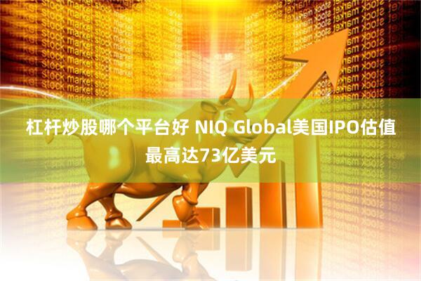 杠杆炒股哪个平台好 NIQ Global美国IPO估值最高达73亿美元