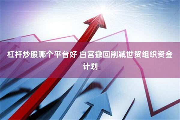 杠杆炒股哪个平台好 白宫撤回削减世贸组织资金计划