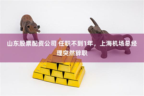 山东股票配资公司 任职不到1年,上海机场总经理突然辞职