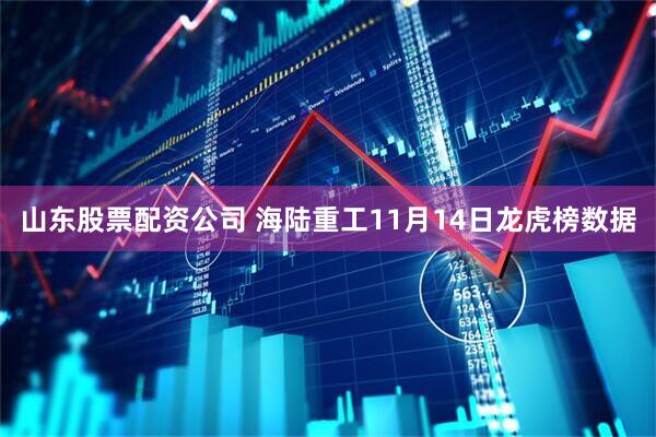 山东股票配资公司 海陆重工11月14日龙虎榜数据