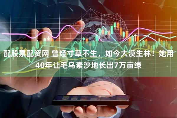 配股票配资网 曾经寸草不生，如今大漠生林！她用40年让毛乌素沙地长出7万亩绿